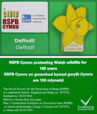 daffodil pin for sale  SANDY