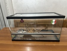 Teca per rettili usato  Vicenza