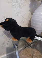 Adopt plush dachshund for sale  WARE