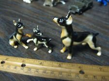 Vintage dog doberman for sale  Hayward