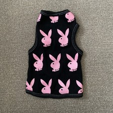 pet bunny for sale  Myrtle Beach