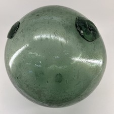 Rare extra large for sale  Ocean Shores
