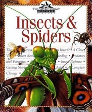Insects spiders nature for sale  UK