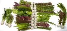 Mixed amount tropical for sale  MARKET RASEN