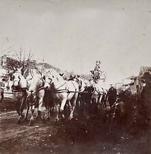 Voiture hippomobile c1900 d'occasion  Paris V