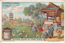 Chromos.am13230.liebig.plantes d'occasion  France