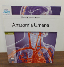 Martini anatomia umana usato  Rimini