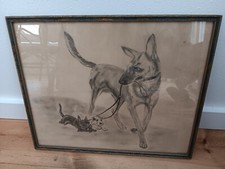 Original vintage dog for sale  Saint Cloud