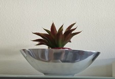 blumentopf antik gebraucht kaufen blumentopf antik gebraucht kaufen Bielefeld
