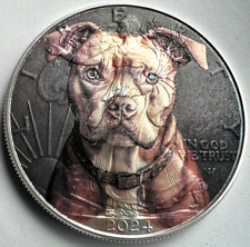 Pit bull staffordshire for sale  Issaquah