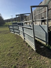 Cattle horse race for sale  ROMFORD