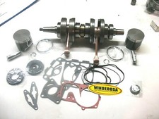 Polaris crankshaft 2009 for sale  Holden