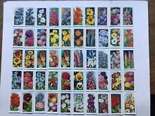 Set cigarette cards for sale  KINGSBRIDGE