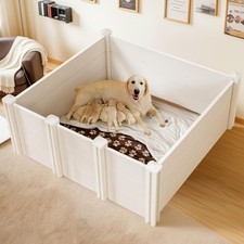 breed large puppies for sale breed large puppies for sale Ashford