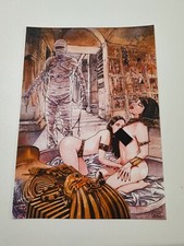 Portfolio sexy horror usato  Italia