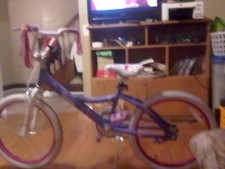2025 bike youth for sale  Meadville