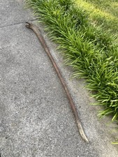 Antique railroad spike for sale  Kingsport