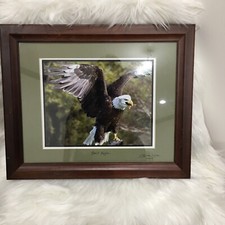 Bald eagle picture for sale  Dalton