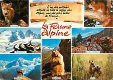 Animaux faune alpine d'occasion  Fruges