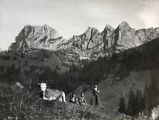 Antique mountain photograph d'occasion  Expédié en Belgium