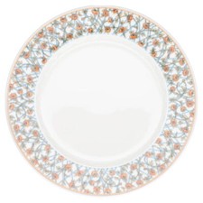 Speiseteller range rosenthal gebraucht kaufen  Kappeln