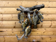 Real skin mount for sale  Wrenshall