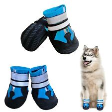 Neuwook bottes chien d'occasion  Saint-Priest