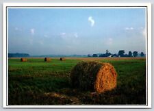 Postcard hay bales for sale  Anoka