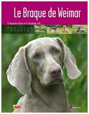Braque weimar d'occasion  France
