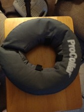 dog cone for sale dog cone for sale Redford