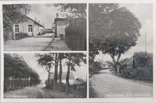 Wald drehna walddrehna gebraucht kaufen  Burgschwalbach, Holzheim, Isselbach