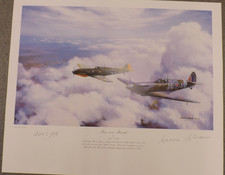 Raf ww2 spitfire for sale  WHITLAND