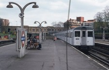 underground stock for sale  SOMERTON