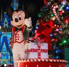 Confirmed nights disney for sale  Dacula