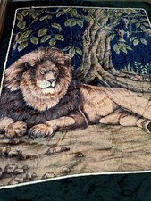 Wild african lion for sale  Hemet