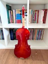 Professional viola outfit for sale  SOUTHAMPTON