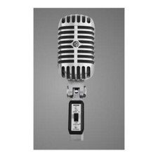 Shure 55sh grigio usato  Italia