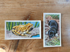 British wildlife tea for sale  LISKEARD