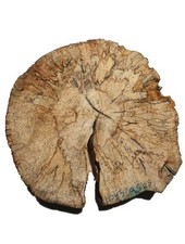 Gestockte buche holz gebraucht kaufen  Hamburg