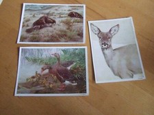 Kleins künstlerpostkarten gre gebraucht kaufen  Münster