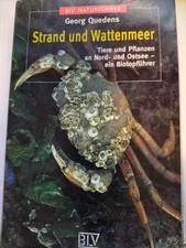 Strand wattenmeer blv gebraucht kaufen  Bremervörde
