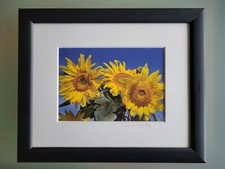 photography framed pieces 4 for sale photography framed pieces 4 for sale Oakland Gardens