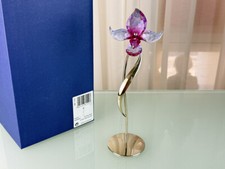 Swarovski figur 681542 gebraucht kaufen  Witten