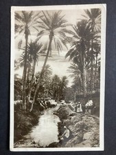 Oasis scene egypt for sale  WORKINGTON