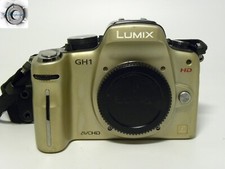 Panasonic lumix gh1 usato  Arquata del Tronto