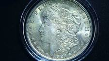 morgan coin for sale morgan coin for sale Portage