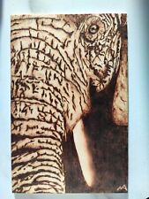 Quadro elefante pirografia usato  Fabriano