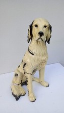 Cane setter inglese usato  Roma