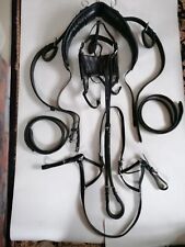 Horse pony leather for sale  BOSTON