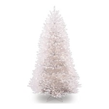 National tree company for sale  Lincoln